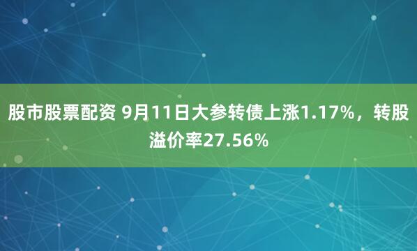 股市股票配资 9月11日大参转债上涨1.17%，转股溢价率27.56%