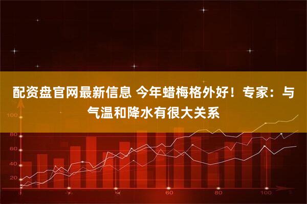 配资盘官网最新信息 今年蜡梅格外好！专家：与气温和降水有很大关系