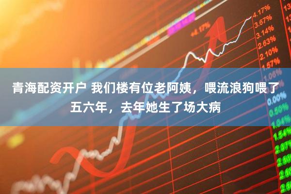 青海配资开户 我们楼有位老阿姨，喂流浪狗喂了五六年，去年她生了场大病